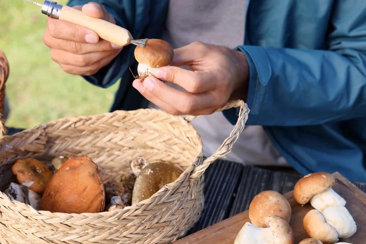 Zdjęcie Jak czyścić grzyby: proste metody, które ułatwią przygotowanie