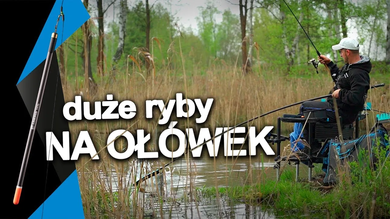 Zdjęcie Jak łowić duże ryby na spławik - sprawdzone techniki i sprzęt