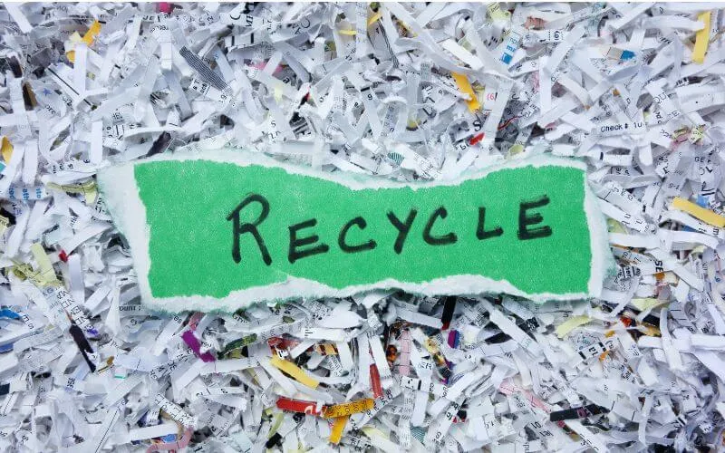 Zdjęcie Jak zarobić na recyklingu? Odkryj sposoby na dodatkowy dochód z surowców wtórnych
