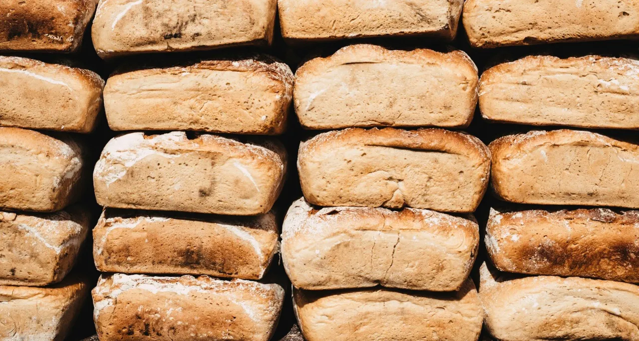 Zdjęcie Chleb dla psa: czy można podawać? Bezpieczeństwo i alternatywy