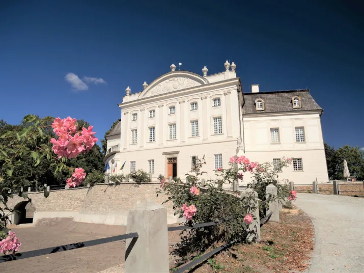 Zdjęcie Staszów atrakcje: odkryj najciekawsze miejsca i aktywności w regionie