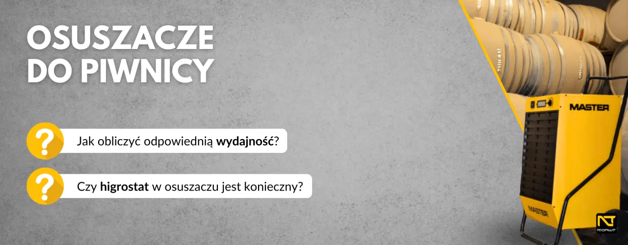 Zdjęcie Jaki osuszacz powietrza do piwnicy wybrać, aby uniknąć wilgoci?