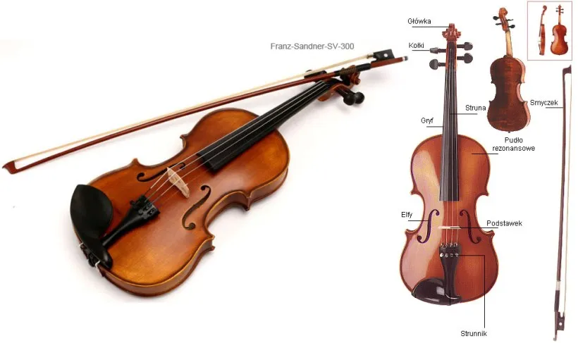 Zdjęcie Ile strun mają skrzypce? Wszystko, co musisz wiedzieć o tym instrumencie.