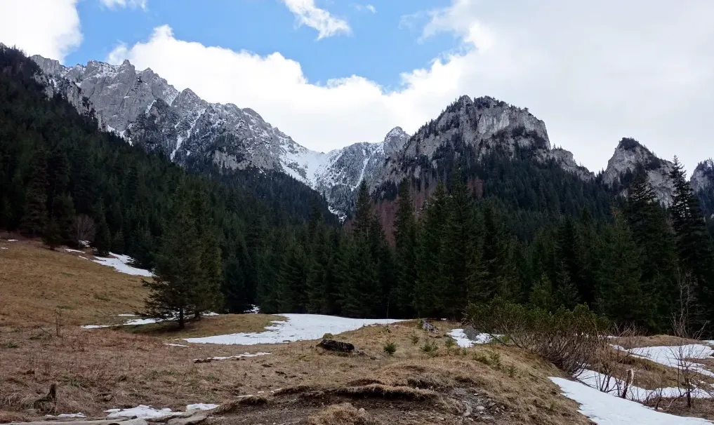 Zdjęcie Jak łatwo kupić bilety online do Doliny Kościeliskiej: praktyczny poradnik