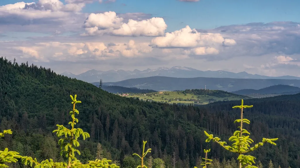 Zdjęcie Najlepsze szlaki na Krawców Wierch - odkryj piękno Beskidu Żywieckiego