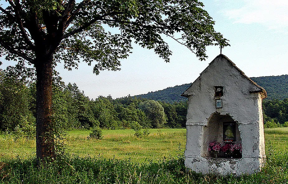 Zdjęcie Co to znaczy, że kościół jest powszechny i jak to wpływa na nas?