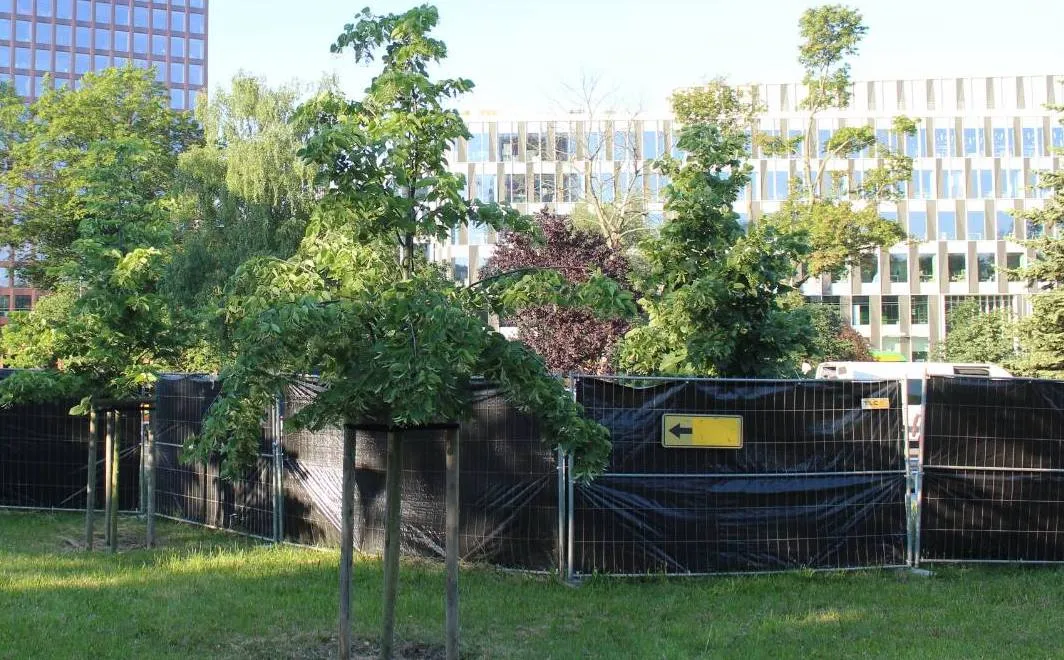 Zdjęcie Skatepark Poznań - najlepsze lokalizacje, godziny otwarcia i atrakcje