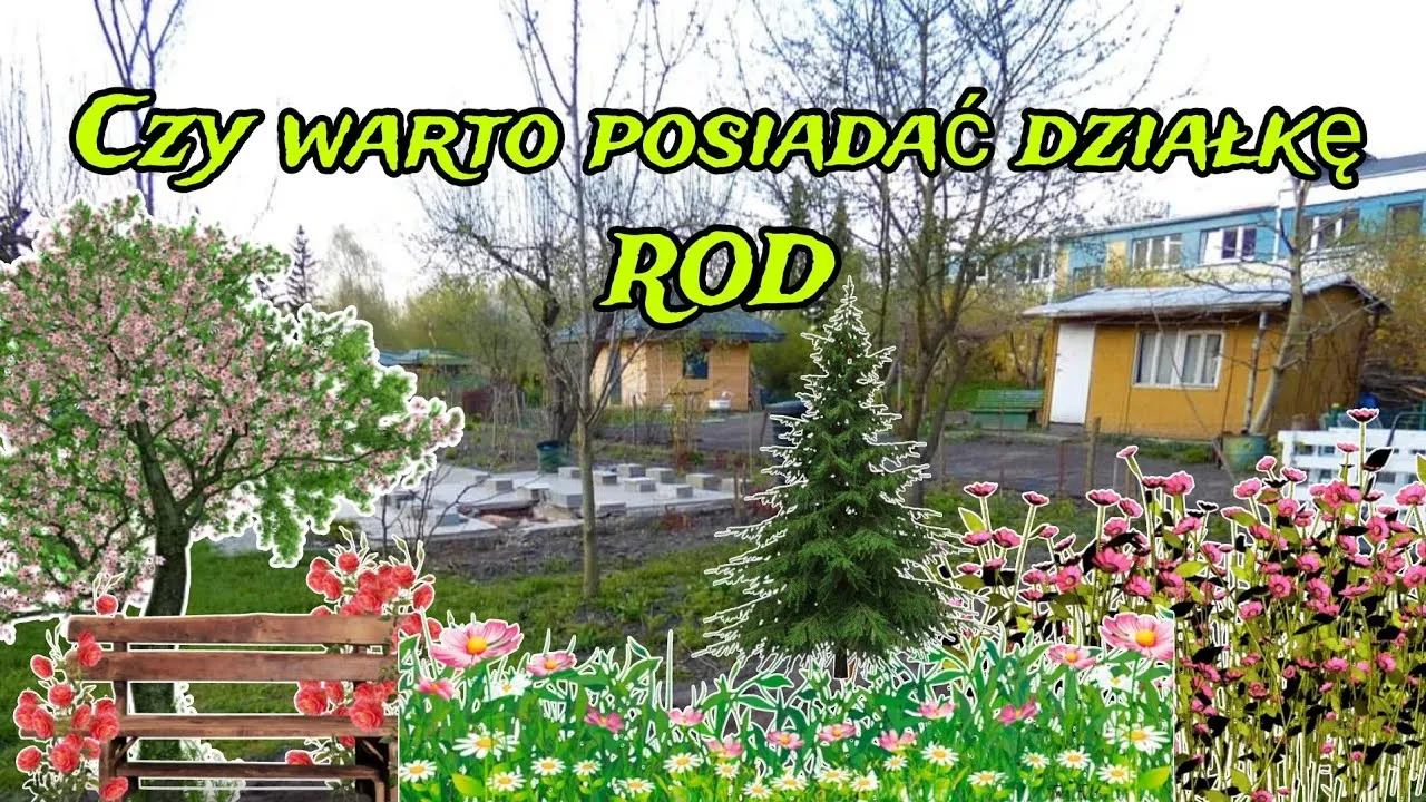 Zdjęcie Czy warto kupić działkę ROD? Odkryj plusy i minusy inwestycji