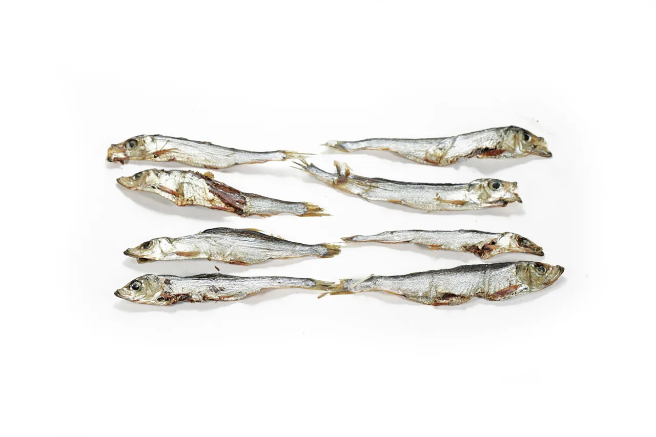 Zdjęcie Szprotki dla psa: czy są bezpieczne? Poznaj fakty i porady