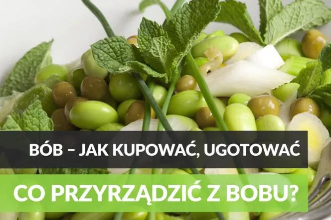 Zdjęcie Czy bób tuczy? Odkryj prawdę o jego wpływie na wagę