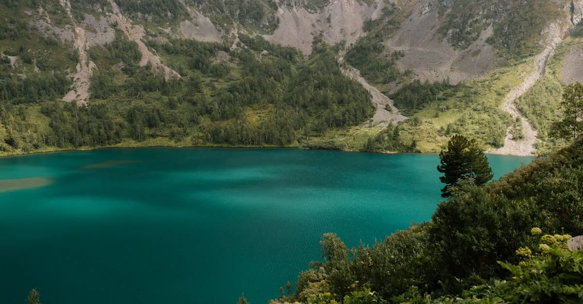 Zdjęcie Zamek Bobolice: Ile kosztuje wizyta w średniowiecznej twierdzy?