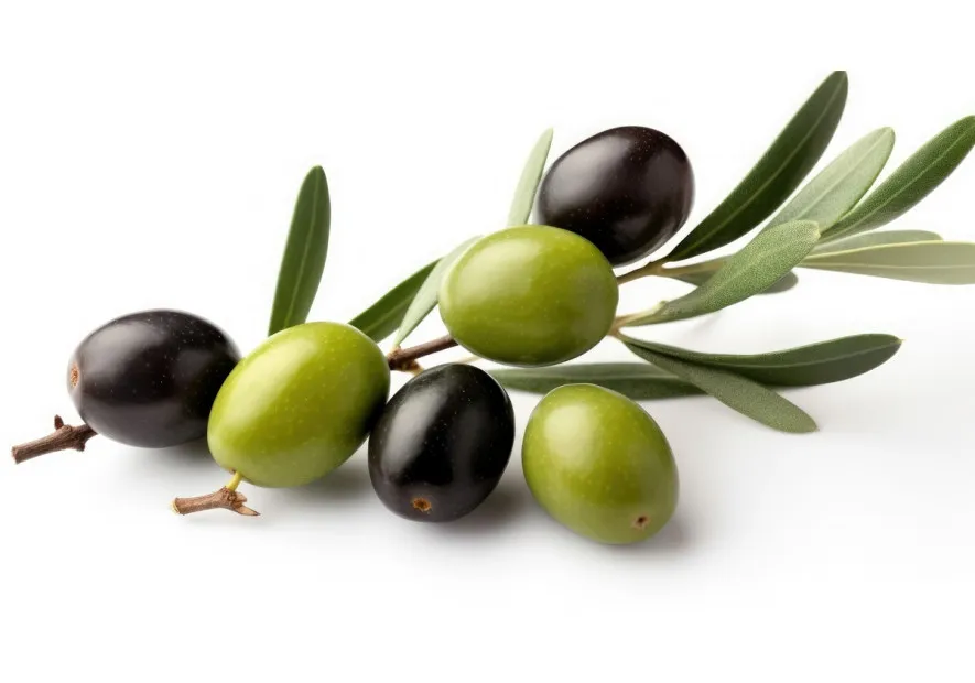 Zdjęcie Oliwki to owoc czy warzywo? Zaskakujące fakty o ich klasyfikacji