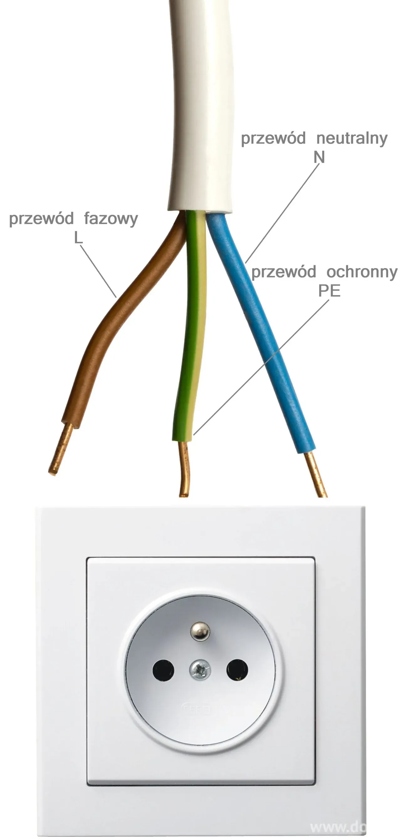 Zdjęcie Który kabel to uziemienie? Kluczowe informacje dla bezpieczeństwa elektrycznego