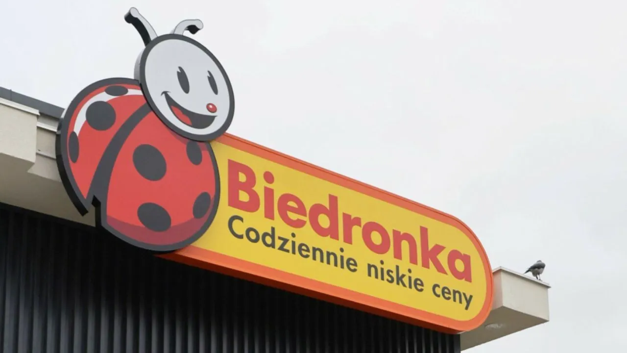 Zdjęcie Biedronka czym się żywi - zaskakujące fakty o ich diecie