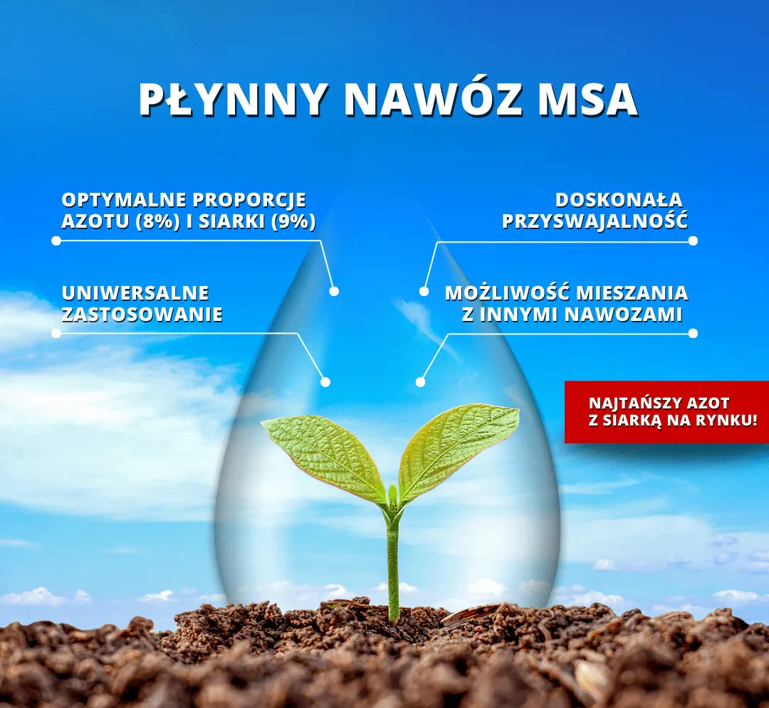 Zdjęcie Jakie nawozy pod zboża: Wybierz najlepsze dla zdrowych plonów