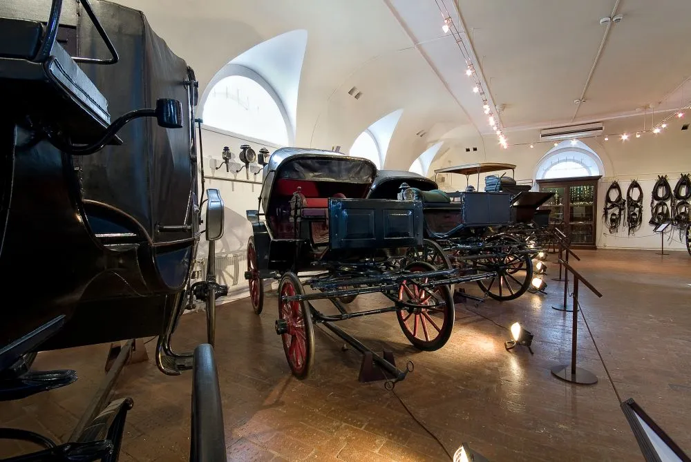 Zdjęcie Muzeum jeździectwa Warszawa - odkryj unikalne eksponaty i historie