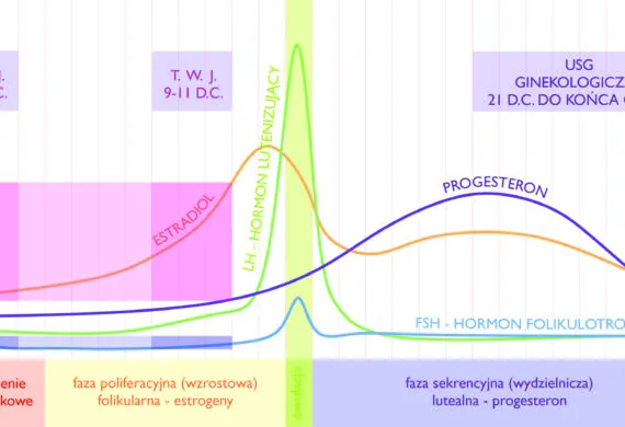 Zdjęcie Badanie prolaktyny w którym dniu cyklu - klucz do dokładnych wyników
