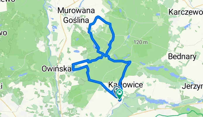 Zdjęcie Puszcza Zielonka trasy rowerowe – odkryj malownicze szlaki rowerowe