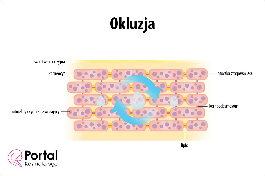 Zdjęcie Okluzja w kosmetyce - skuteczna metoda na intensywne nawilżenie skóry