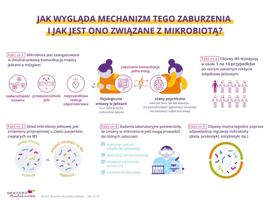 Zdjęcie Zaburzenia czynnościowe – co to jest i jak wpływają na zdrowie?