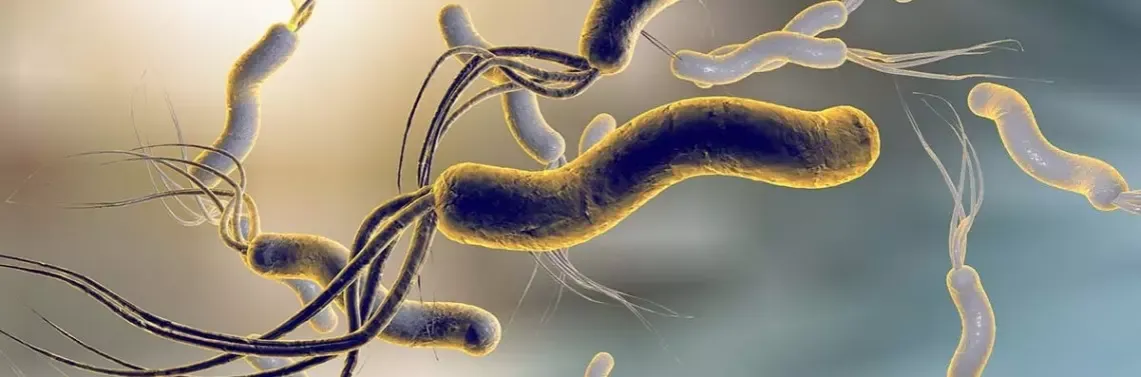 Zdjęcie Jak przyjmować leki na helicobacter, aby terapia była skuteczna i bezpieczna
