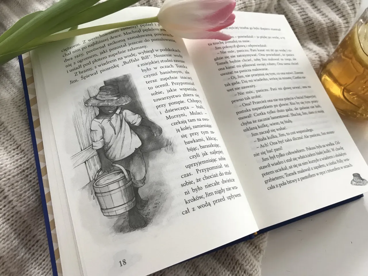 Zdjęcie Recenzja książki Przygody Tomka Sawyera – odkryj ukryte znaczenia i tematy