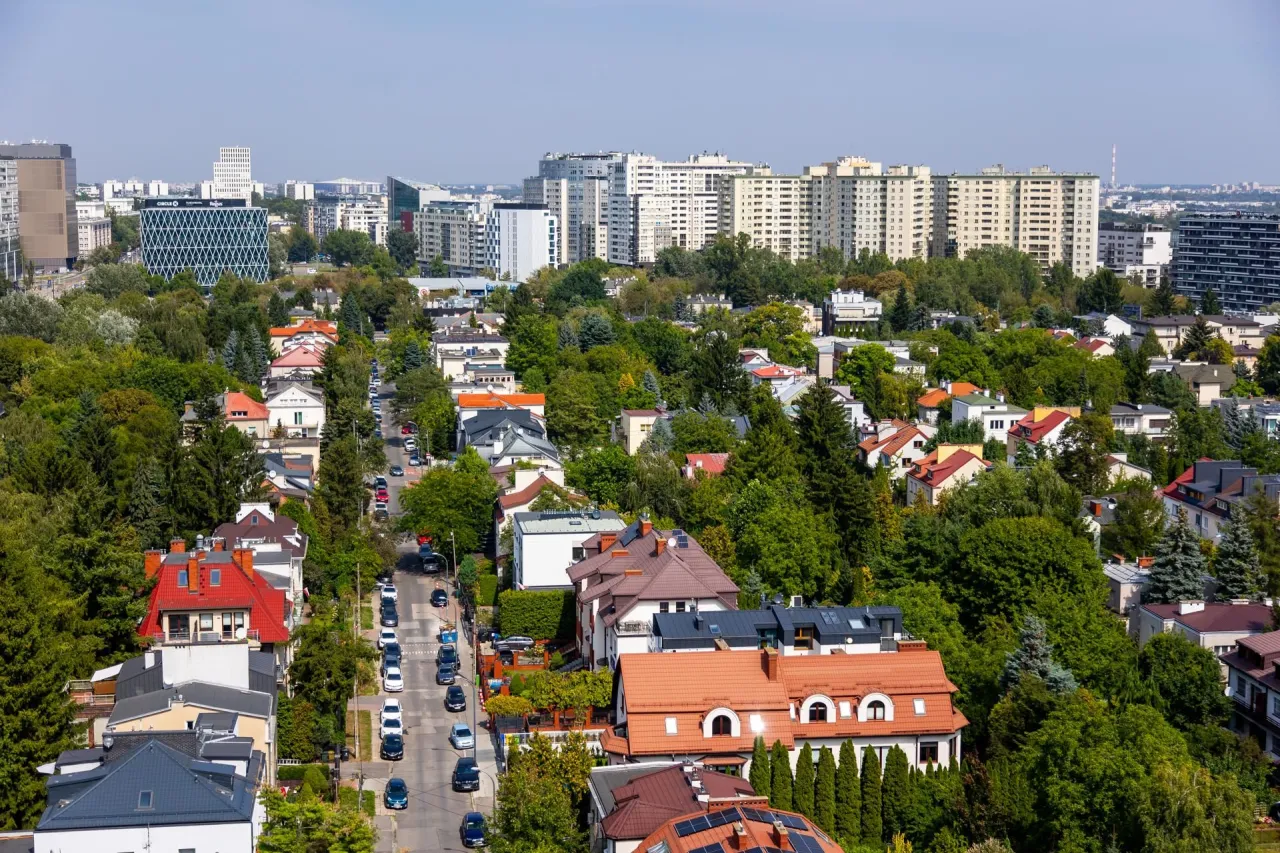 Zdjęcie Ile ludzi mieszka w Zielonej Górze? Zaskakujące dane demograficzne