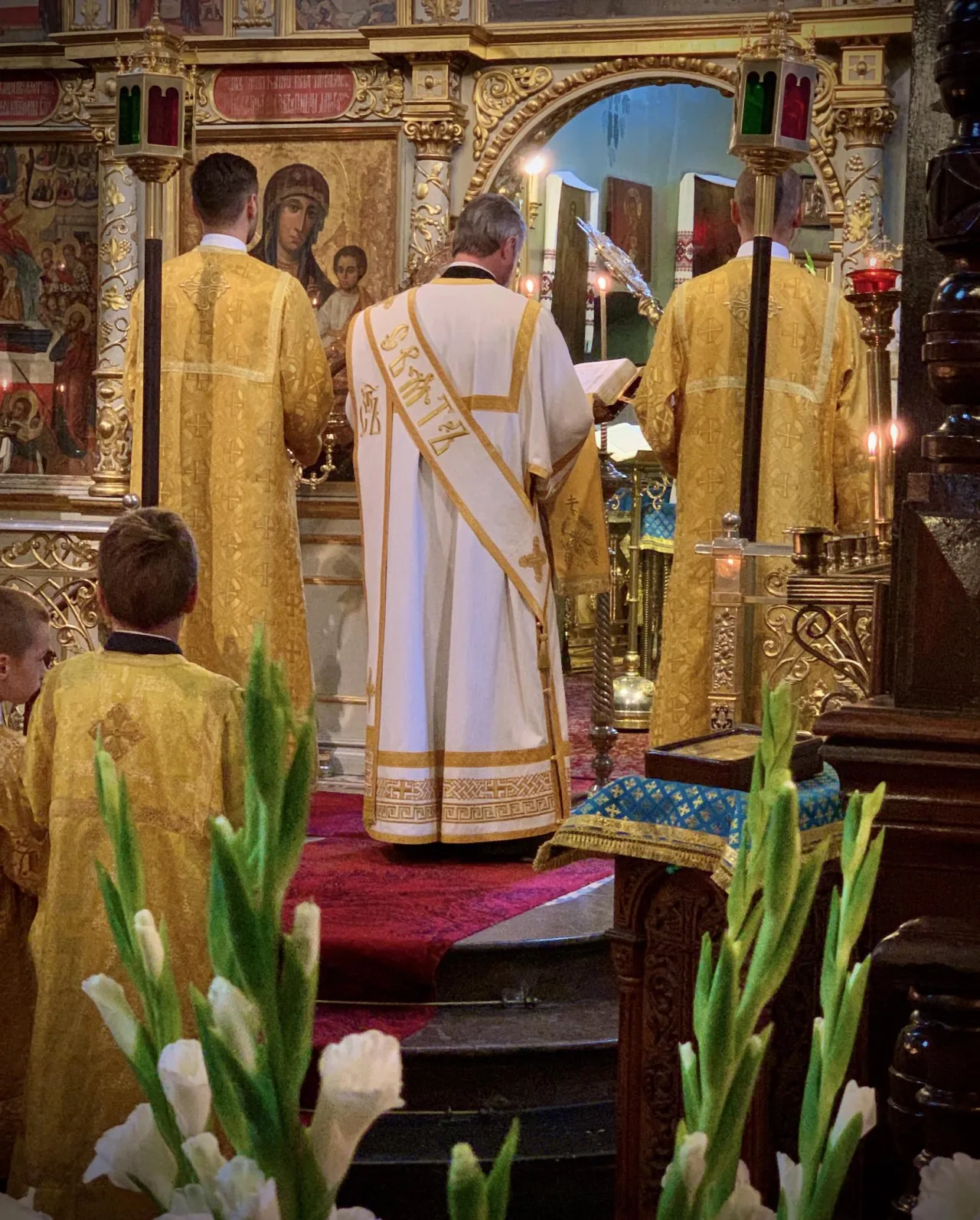 Zdjęcie Przypowieść o dzierżawcach winnicy: znaczenie, symbolika i przesłanie dla życia