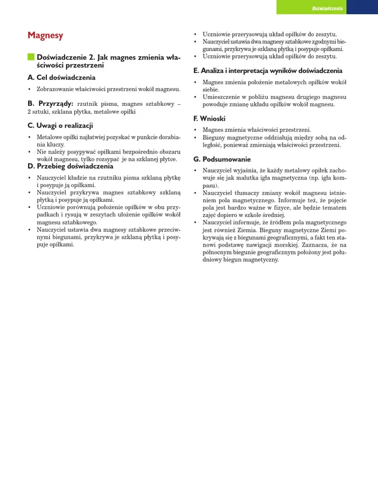 Zdjęcie Kim Morgan coach - jak jej doświadczenie zmienia coaching w Polsce