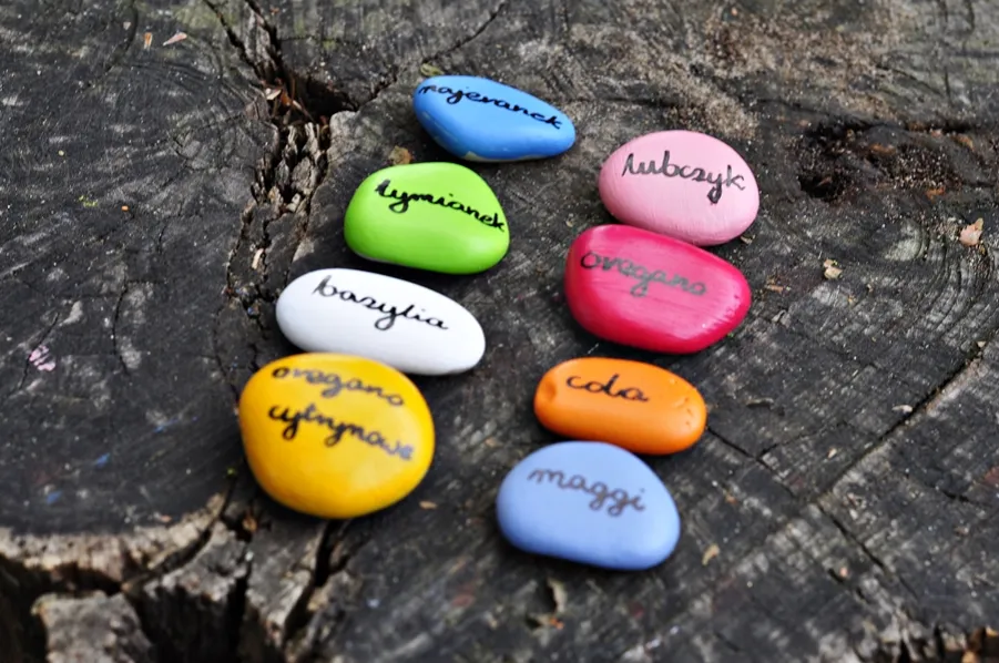 Zdjęcie Malowanie kamieni w ogrodzie: jak wybrać farbę i zabezpieczyć efekt?