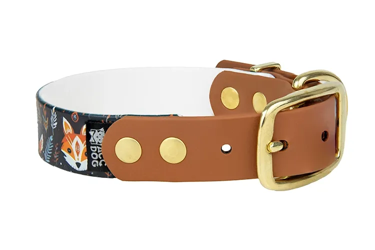 Zdjęcie Jaką obrożę dla szczeniaka goldena wybrać, by zapewnić komfort?