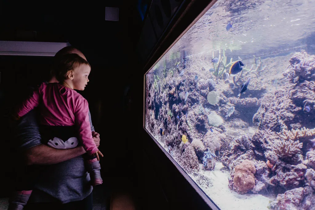Zdjęcie Olsztyn nie ma oceanarium – poznaj najbliższe atrakcje w Gdyni