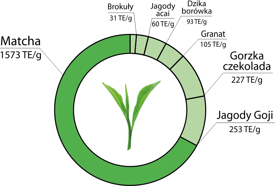Zdjęcie Matcha to kawa czy herbata – odkryj, co naprawdę wybierać