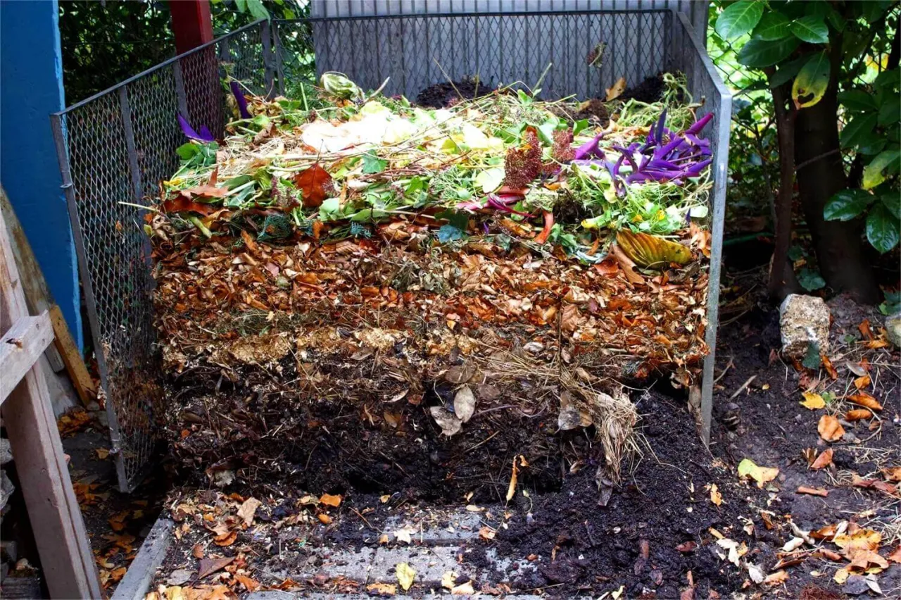 Zdjęcie Kompostowanie liści winogron - skuteczny sposób na naturalny nawóz