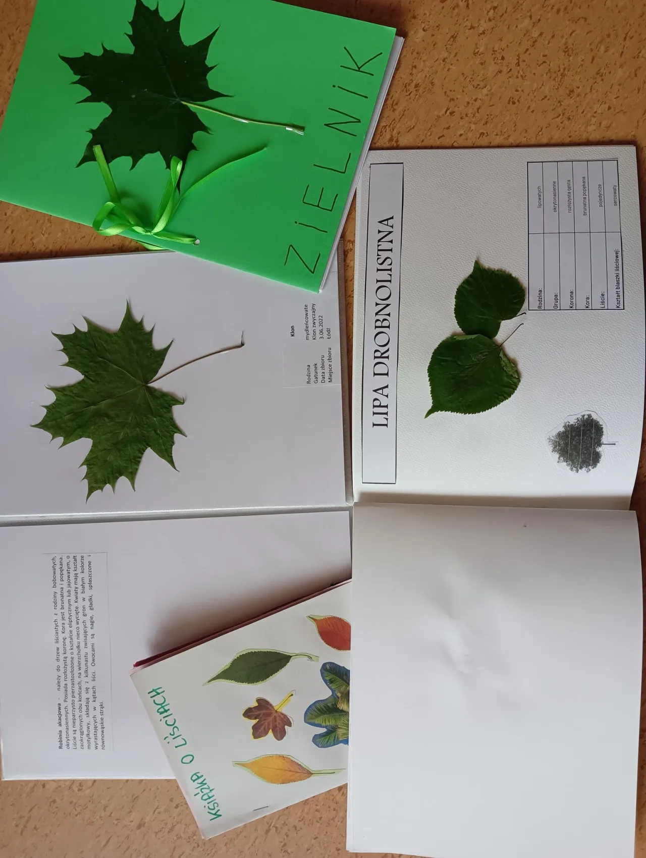 Zdjęcie Zajęcia terenowe z biologii karta pracy – skuteczne materiały edukacyjne