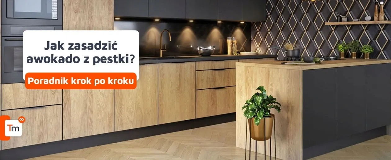 Zdjęcie Jak uprawiać awokado z pestki - proste kroki, aby uniknąć błędów