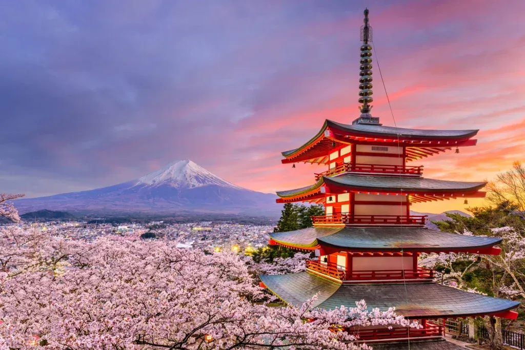 Zdjęcie Ile trwa lot z Polski do Japonii? Sprawdź, co może Cię zaskoczyć