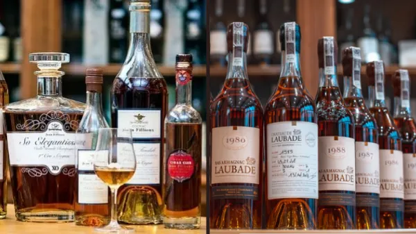 Zdjęcie Czym się różni koniak od whisky? Kluczowe różnice, które musisz znać