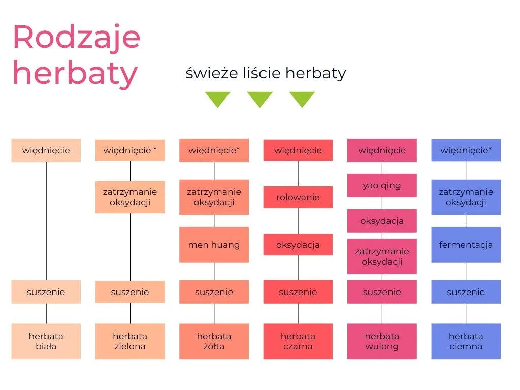 Zdjęcie Poznaj fascynujący proces powstawania herbaty i jej wyjątkowe odmiany