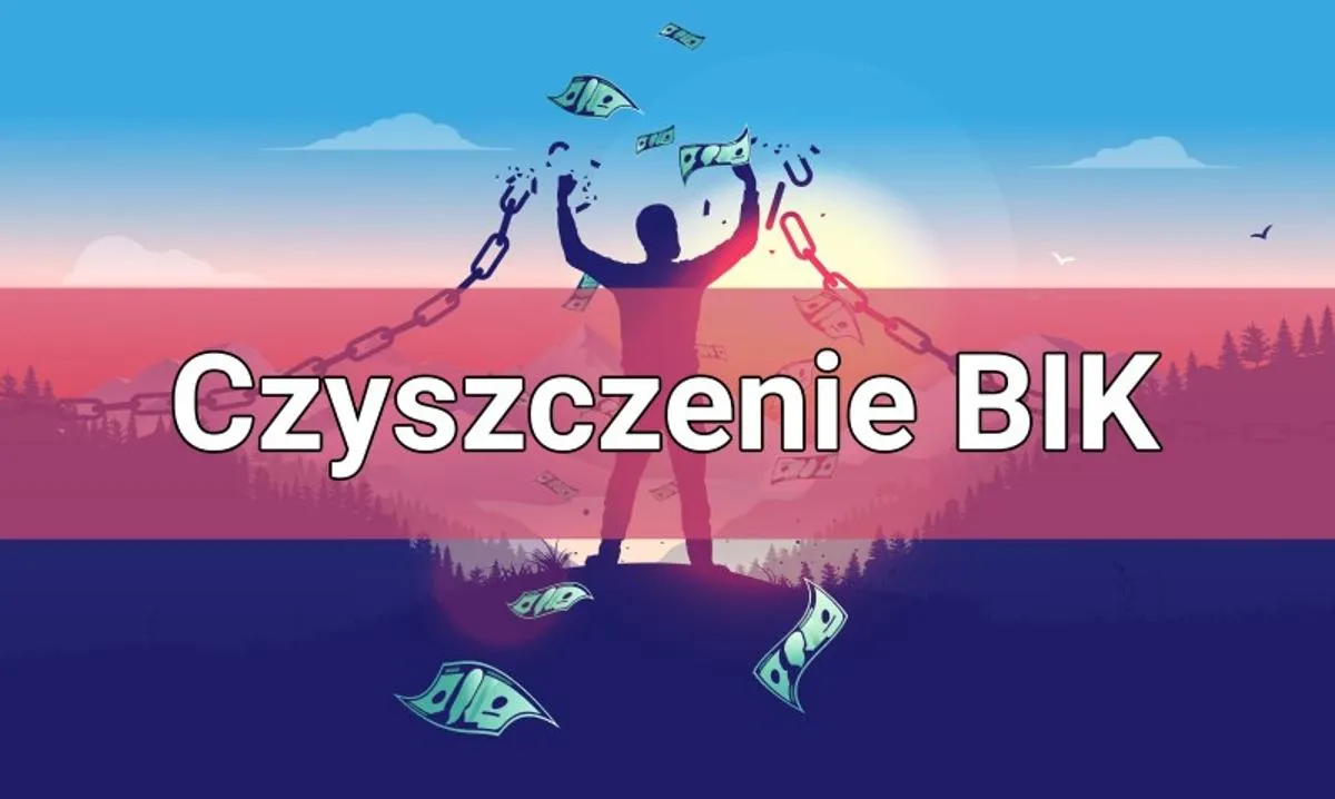 Zdjęcie Jak usunąć się z BIK i poprawić swoją historię kredytową