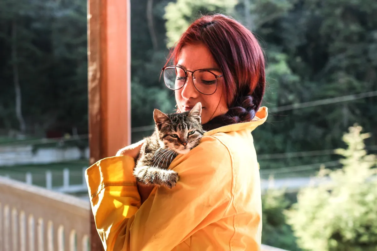 Zdjęcie Cuánto suele vivir un gato y cómo asegurarle una larga vida