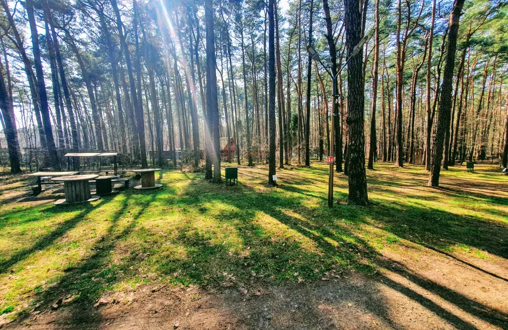 Zdjęcie Turawa Camp - najlepszy camper park nad jeziorem dużym w Turawie