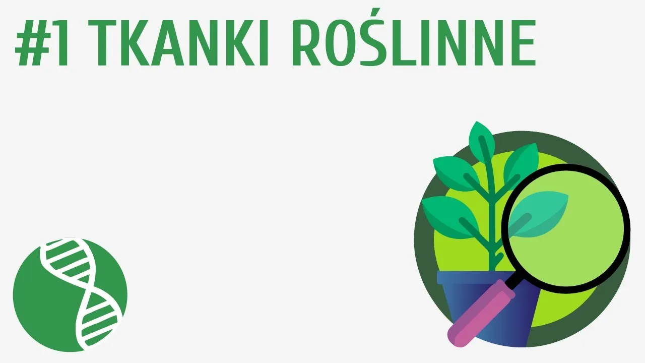 Zdjęcie Co to jest tkanka roślinna? Zrozum jej funkcje i rodzaje w botanice