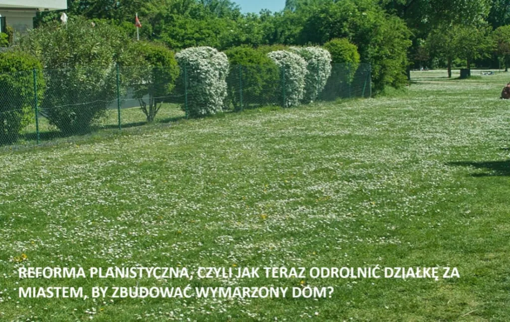 Zdjęcie Czy można podzielić działkę rolną? Poznaj ważne przepisy i wyjątki