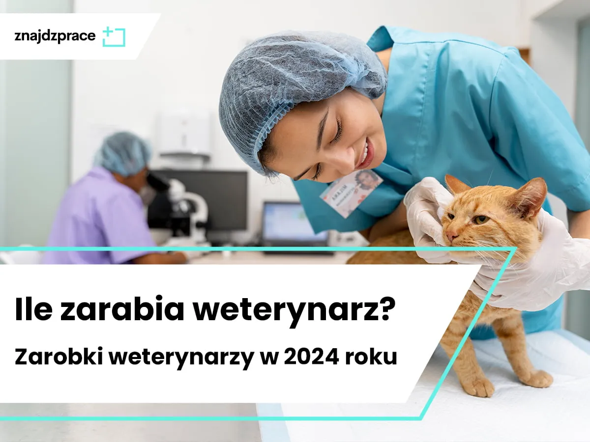 Zdjęcie Ile zarabia weterynarz? Zaskakujące różnice w wynagrodzeniach!