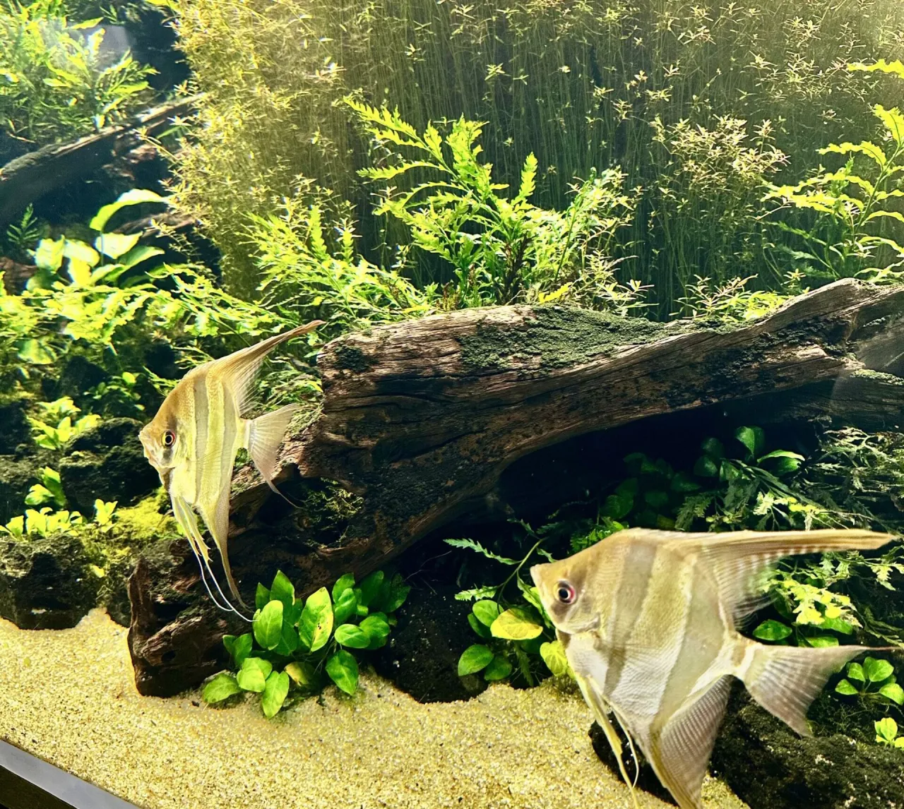 Zdjęcie Najlepsze oceanaria w Polsce: odkryj tajemnice zoo oceanarium