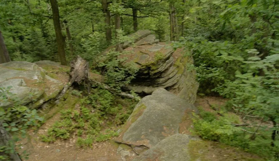 Zdjęcie Rezerwat przyrody Skałki Piekło pod Niekłaniem - tajemnice i atrakcje