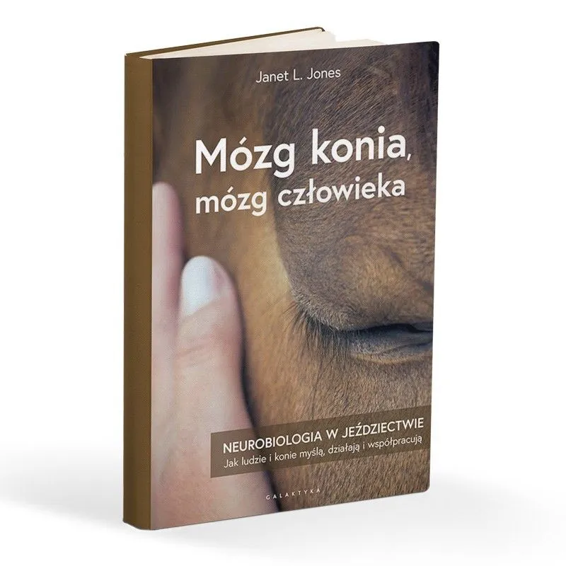 Zdjęcie Mózg konia i człowieka: jak neurobiologia zmienia jeździectwo