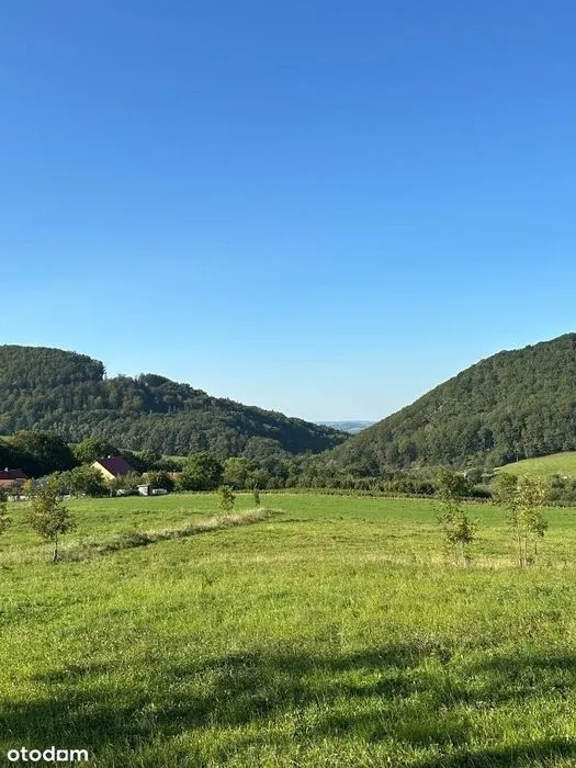 Zdjęcie Ile kosztuje działka budowlana na wsi? Ceny, które mogą zaskoczyć