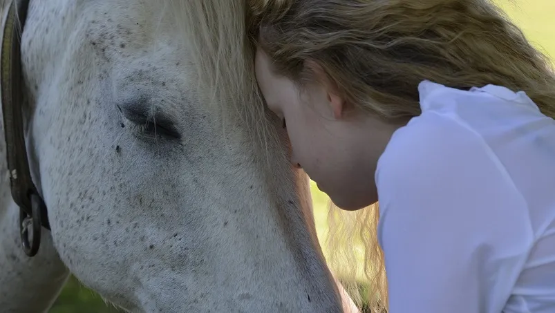 Zdjęcie Jak głaskać konia, aby zbudować z nim silną więź i uniknąć błędów